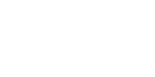 Realgeek